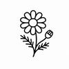CHAMOMILE EXTRAT