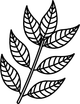 Curry Leaf Extract