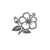 Hibiscus Extract