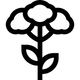 Valerian Extract (TAGAR)