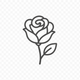 ROSE FLAVOUR